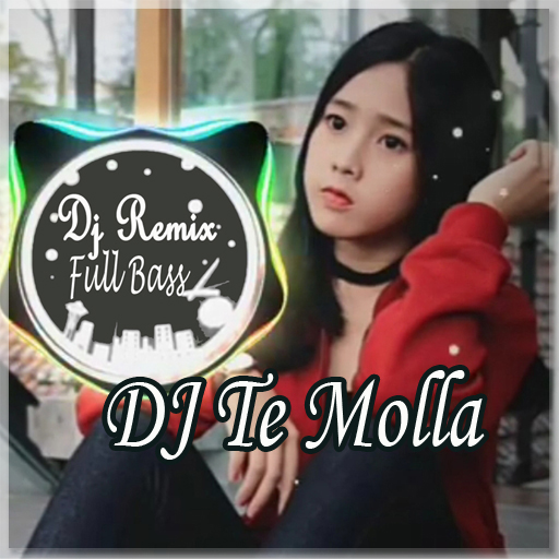 Android application Dj Te Molla Full Bass Offline screenshort