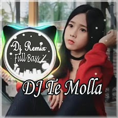 Dj Te Molla Full Bass Offlineのおすすめ画像1