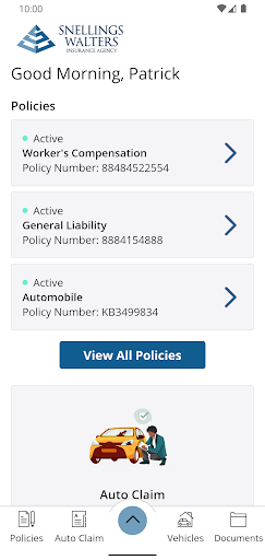 Snellings Walters Insurance