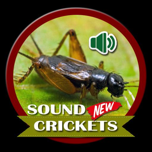 cricket sound - 2 - (Android)