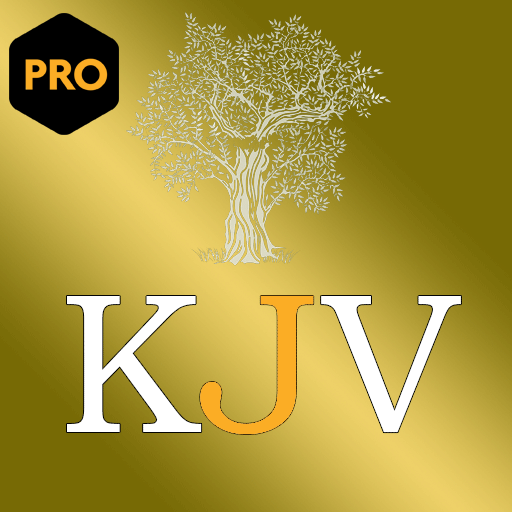 (PRO) King James Audio Bible 3 Icon