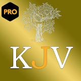 (PRO) King James Audio Bible icon
