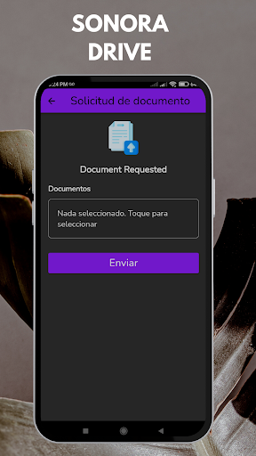 Sonoradrive Screen 2
