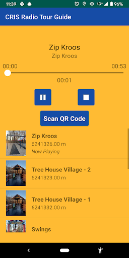 CRISAccess Screen 3