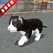 Cat Simulator Game 2020 :Real Cat Family Sim  Icon