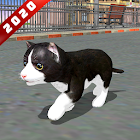 Cat Simulator Game 2020 :Kitty Running 0.1
