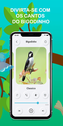 Sounds of the bird Golinha Screen 2