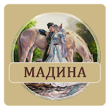 Мадина - Доухан Балаева icon