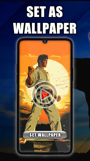 Android application Karate Live Wallpaper screenshort