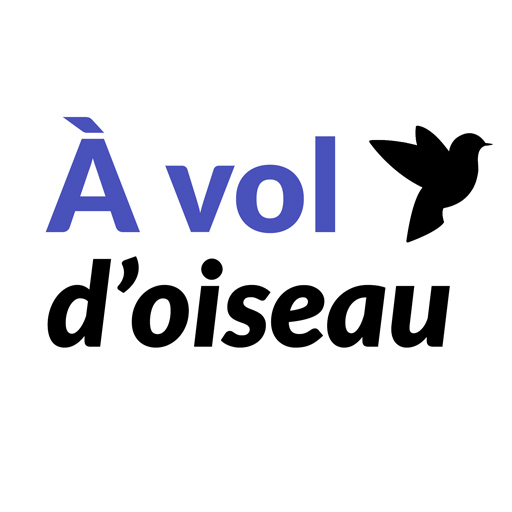 A vol d'oiseau cercles de dist