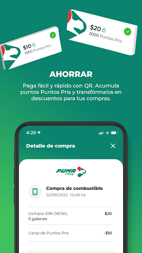 Puma PRIS (SV) Screen 3