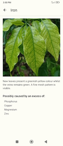 Coffee Plant Deficiencies Screen 2
