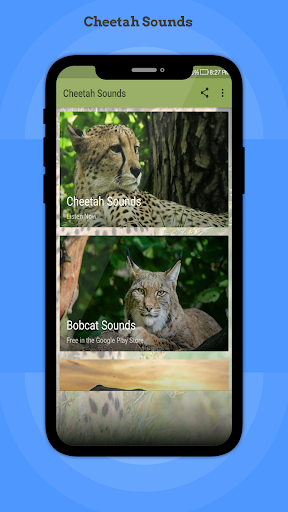 Android application Cheetah Sounds screenshort