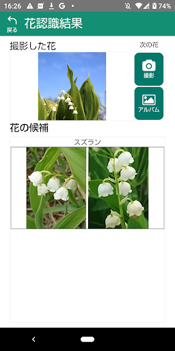 山の花（入笠山） Screen 3