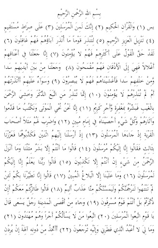 Terjemah Tafsir Surat Yasin Screen 3