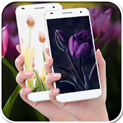 Tulip wallpapers  Icon