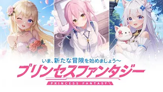 Game screenshot プリンセスファンタジー mod apk
