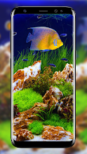 Aquarium Tapete Leben Apps Bei Google Play