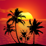 Cover Image of Descargar Tropical Live Wallpaper  APK