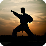 Martial Arts Live Wallpaper icon