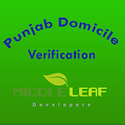 Punjab Domicile Verification2