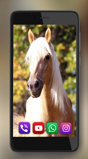 Horses Sounds Wallpaper