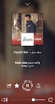 screenshot of Radio Arabic