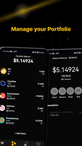 BalanceWallet Screen 2