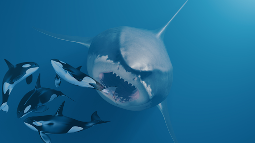 Shark Hunting 3D : Shark Games Screen 3