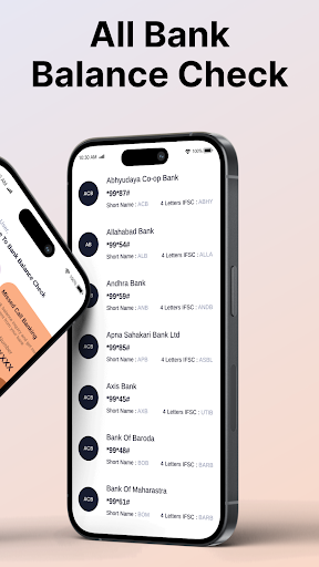 All Bank Balance Check Screen 3