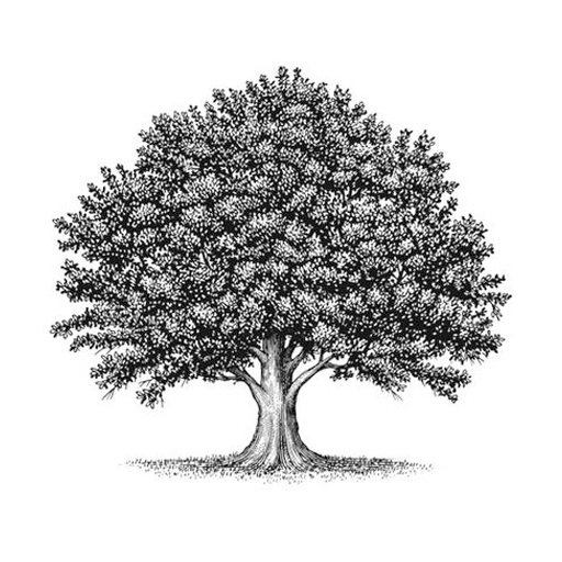 OAK Fitness logo