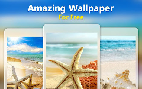 HD Seashell Wallpapers 1.2 APK + Mod (Unlimited money) untuk android