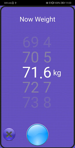 Weight Loss Tracker (big font) Screen 2