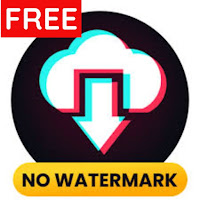 Video Downloader for TikTok No Watermark - Tmate