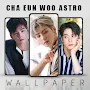 Cha Eun Woo Astro Wallpaper NEW