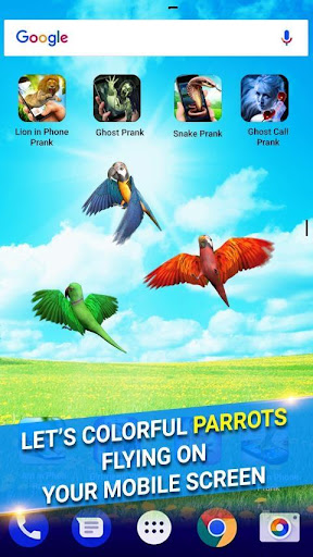 Parrot in Phone fly