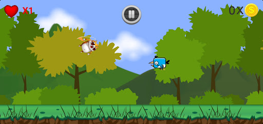 Flap Uganda Bird Screen 3