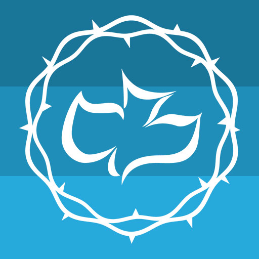 Calvary Chapel New Life