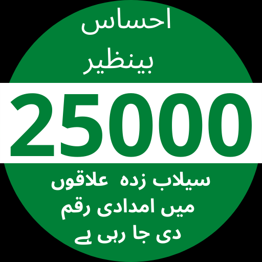 Ehsaas Imdad 25000 Register Download on Windows
