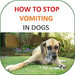 How to Stop Vomiting in Dogs Apk