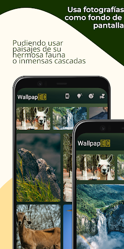 WallpapEC - ¡Ecu en tu móvil! Screen 2