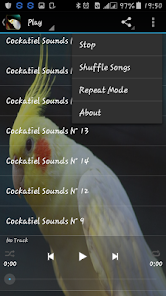 Cockatiel sounds offline 2