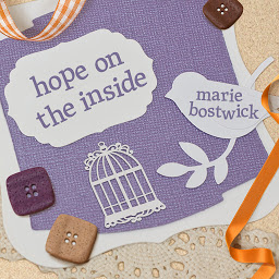 Icon image Hope on the Inside