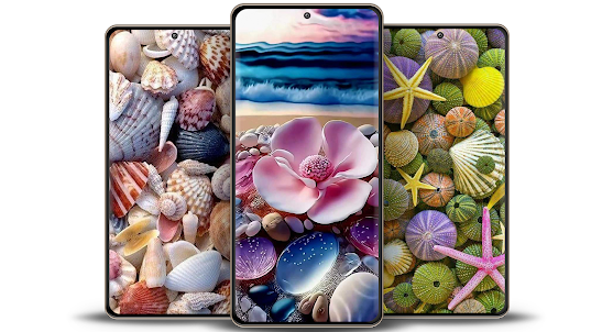 HD Seashell Wallpaper