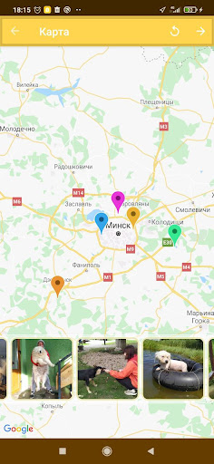 Dog breeds and photos