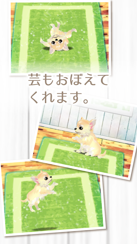 癒しの子犬育成ゲーム〜チワワ編〜のおすすめ画像3