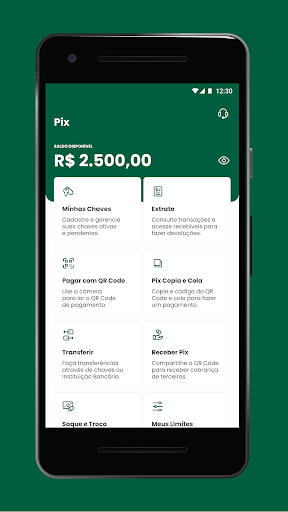 Agrofel Bank Screen 2