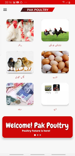 Pak Poultry Screen 2