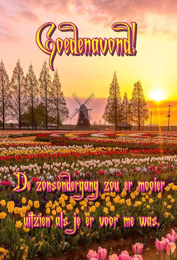 Android application Goedenavond! screenshort