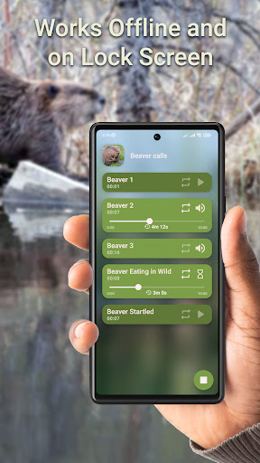 Beaver Hunting Calls Screen 3